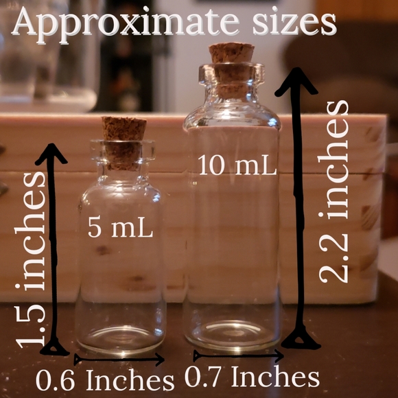 Mini terrariums ~ dried moss hanging terrarium in miniature bottles (5 & 10 mL) - Picture 3 of 4